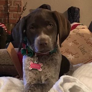 Meet your Posher, Cindy